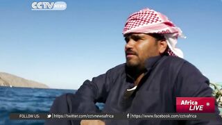 Египетские рыбаки продолжают ловить и зарабатывать несмотря на падение туристического потока