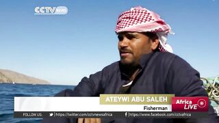 Египетские рыбаки продолжают ловить и зарабатывать несмотря на падение туристического потока