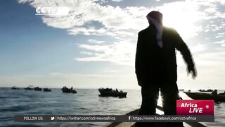 Египетские рыбаки продолжают ловить и зарабатывать несмотря на падение туристического потока