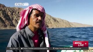 Египетские рыбаки продолжают ловить и зарабатывать несмотря на падение туристического потока