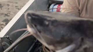 Дикая рыбалка на Ниле погоня за речными монстрами документальное приключение