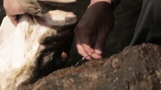 Дикая рыбалка на Ниле погоня за речными монстрами документальное приключение