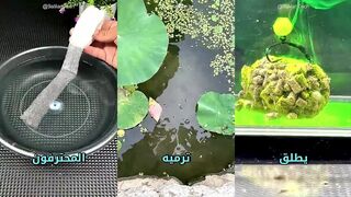 Секреты техника профессионалов как опытные рыбаки строят оснастку и выбирают точки для ловли