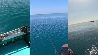 Прибрежная рыбалка во Вьетнаме jigging по тунцу до 10 кг атаки у поверхности и визг фрикциона