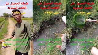 Самая сильная и быстрая прикормка для всех водоемов Египта проверенный рыболовный рецепт