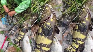 Phu Quoc море и острова прогулка по берегу и легкая развлекательная рыбалка для туристов