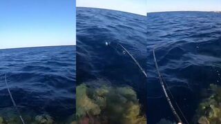 Рыбалка в Египте день у моря соленый ветер песчаный берег и несколько неожиданных поклевок