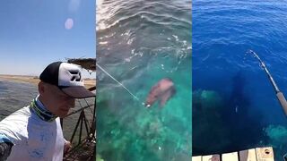 Обычная рыбалка в Египте береговые забросы и простые снасти для отдыха на теплом море