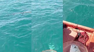 Развлекательная морская рыбалка у берегов острова Phu Quoc во Вьетнаме