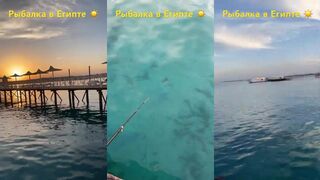 Рыбалка в Египте морское солнце теплое море и простые снасти у береговой линии