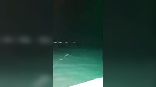 Ночная рыбалка на кальмаров остров Фукуок Вьетнам лодка огни в темноте и крошечные трофеи в ведре