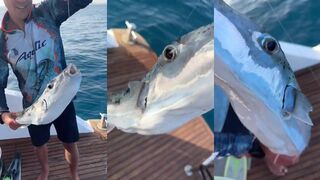 Морская рыбалка в Египте лодка рифы и поиск трофейной рыбы в Красном море