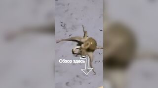 Морская рыбалка на Фукуоке во Вьетнаме первые выезды в море с местными гидами и простыми снастями