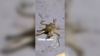 Морская рыбалка на Фукуоке во Вьетнаме первые выезды в море с местными гидами и простыми снастями