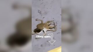 Морская рыбалка на Фукуоке во Вьетнаме первые выезды в море с местными гидами и простыми снастями