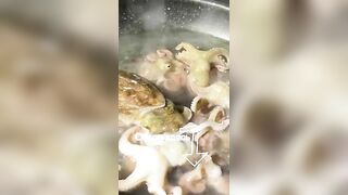 Морская рыбалка на Фукуоке во Вьетнаме первые выезды в море с местными гидами и простыми снастями