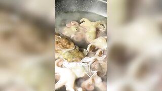 Морская рыбалка на Фукуоке во Вьетнаме первые выезды в море с местными гидами и простыми снастями