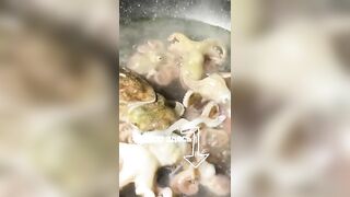 Морская рыбалка на Фукуоке во Вьетнаме первые выезды в море с местными гидами и простыми снастями