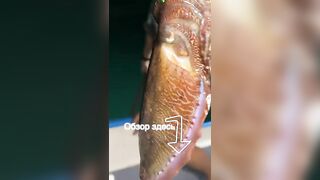 Морская рыбалка на Фукуоке во Вьетнаме первые выезды в море с местными гидами и простыми снастями