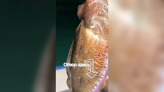 Морская рыбалка на Фукуоке во Вьетнаме первые выезды в море с местными гидами и простыми снастями