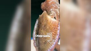 Морская рыбалка на Фукуоке во Вьетнаме первые выезды в море с местными гидами и простыми снастями