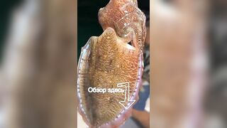 Морская рыбалка на Фукуоке во Вьетнаме первые выезды в море с местными гидами и простыми снастями