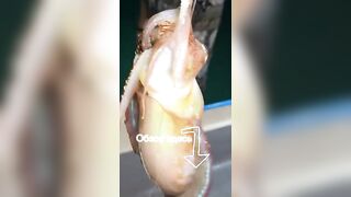 Морская рыбалка на Фукуоке во Вьетнаме первые выезды в море с местными гидами и простыми снастями