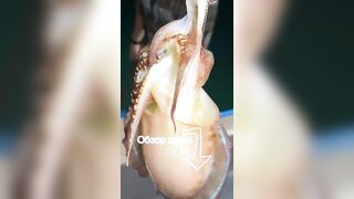 Морская рыбалка на Фукуоке во Вьетнаме первые выезды в море с местными гидами и простыми снастями