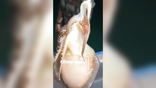 Морская рыбалка на Фукуоке во Вьетнаме первые выезды в море с местными гидами и простыми снастями