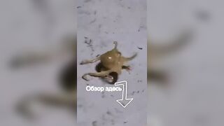 Морская рыбалка на Фукуоке во Вьетнаме первые выезды в море с местными гидами и простыми снастями