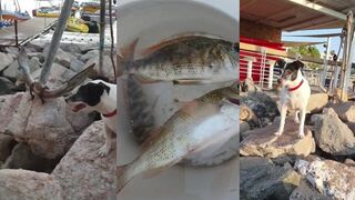 Рыбалка в Красном море Эйлат Израиль короткое видео о морской рыбалке и путешествии