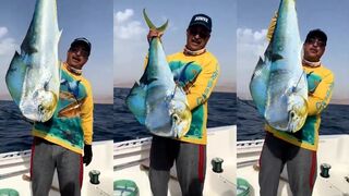 Mahimahi в Акабе Иордания морская рыбалка в Красном море за дельфиновой рыбой