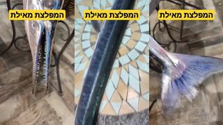 В Эйлате Алмог вытащил огромную рыбу которая казалась бесконечной