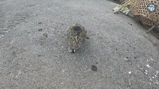 Эпичная морская рыбалка в Таиланде на GT большие попперы и настоящие океанские монстры