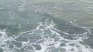 Рыбалка в Эйлате Израиль короткое видео о Красном море и клеве на берегу