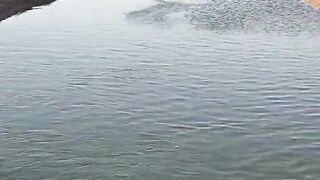 Рыбалка в Эйлате Израиль короткое видео о Красном море и клеве на берегу