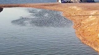 Рыбалка в Эйлате Израиль короткое видео о Красном море и клеве на берегу