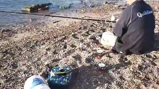 Рыбалка в Эйлате Израиль короткое видео о Красном море и клеве на берегу