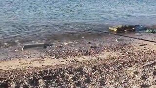 Рыбалка в Эйлате Израиль короткое видео о Красном море и клеве на берегу