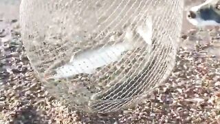 Рыбалка в Эйлате Израиль короткое видео о Красном море и клеве на берегу