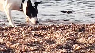 Рыбалка в Эйлате Израиль короткое видео о Красном море и клеве на берегу