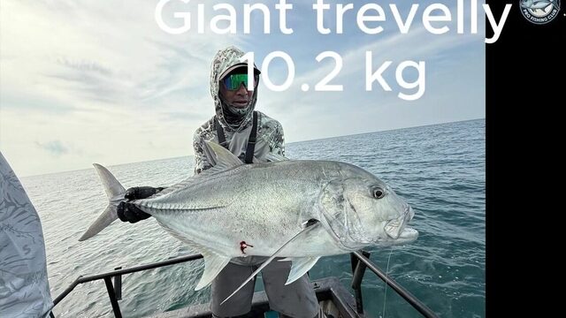 Small popper и Stella C3000 - рыбалка в Као Лаке по GT 10,2 кг