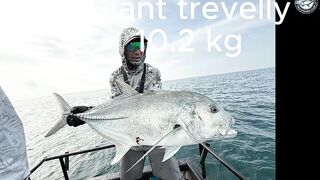 10.2 кг GT против маленькой Shimano Stella C3000 морская рыбалка в Таиланде на ультралайт снасть