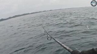 10.2 кг GT против маленькой Shimano Stella C3000 морская рыбалка в Таиланде на ультралайт снасть