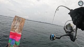 10.2 кг GT против маленькой Shimano Stella C3000 морская рыбалка в Таиланде на ультралайт снасть