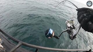 10.2 кг GT против маленькой Shimano Stella C3000 морская рыбалка в Таиланде на ультралайт снасть