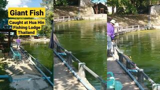 Гигантская рыба в Таиланде Hua Hin короткая морская рыбалка с мощным трофеем