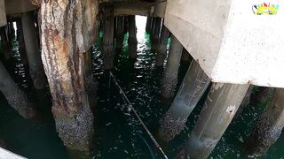 Рыбалка с пирса Hua Hin есть поклевки рыба клюет и морская прогулка удалась