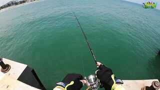 Рыбалка с пирса Hua Hin есть поклевки рыба клюет и морская прогулка удалась