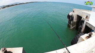 Рыбалка с пирса Hua Hin есть поклевки рыба клюет и морская прогулка удалась